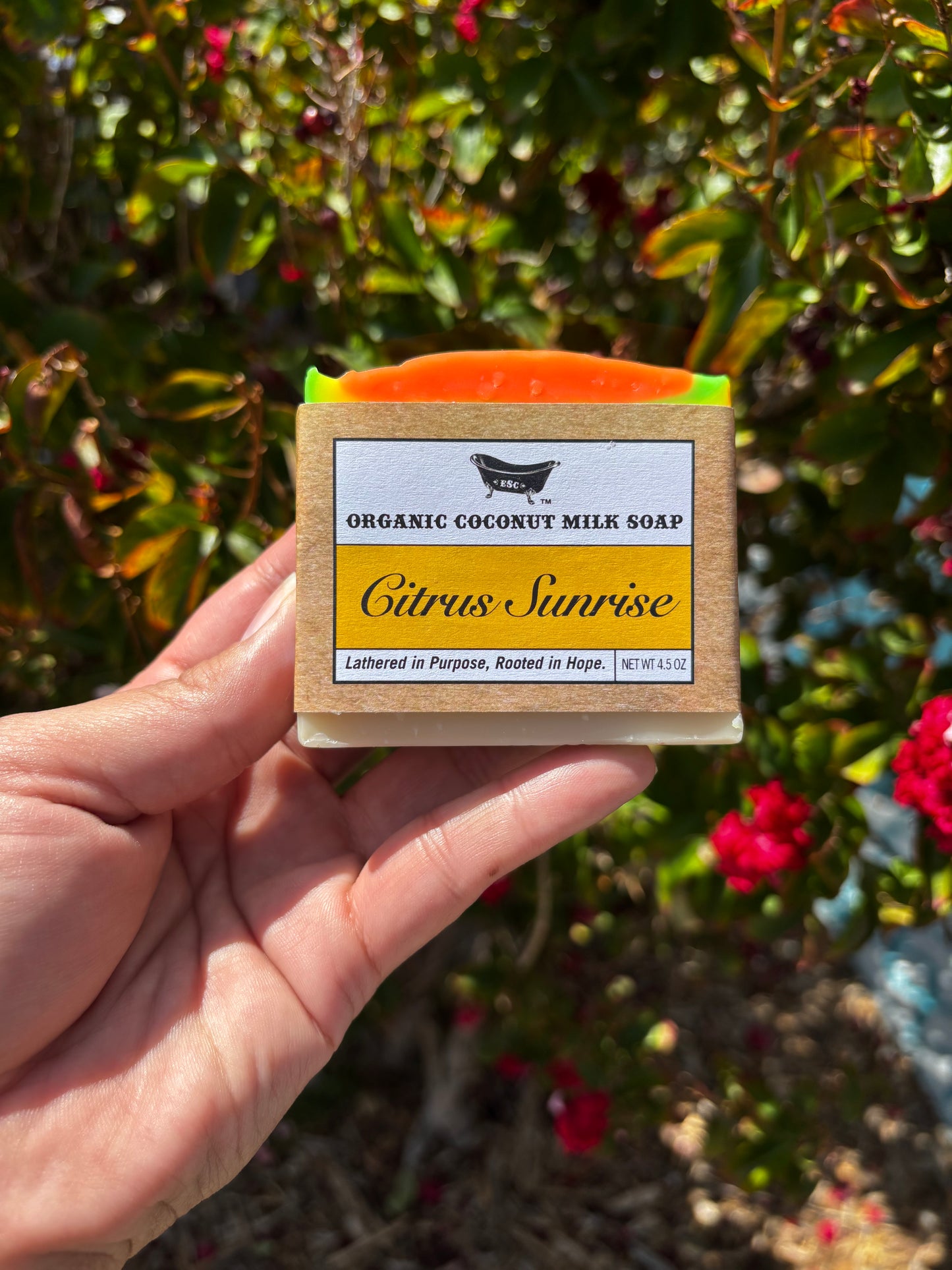 Citrus Sunrise