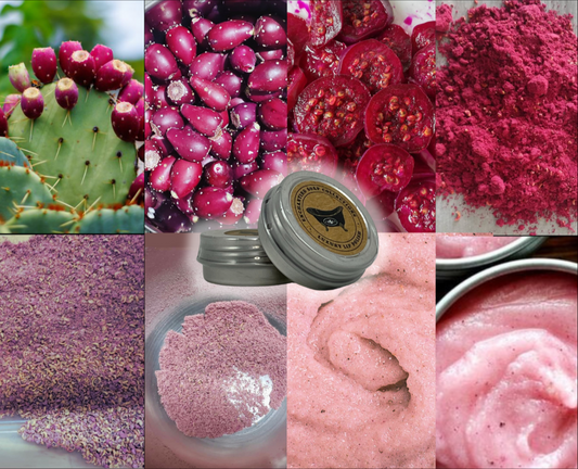 ***BACK IN STOCK*** Vanilla Prickly Pear Cactus Fruit Luxury Lip Polish