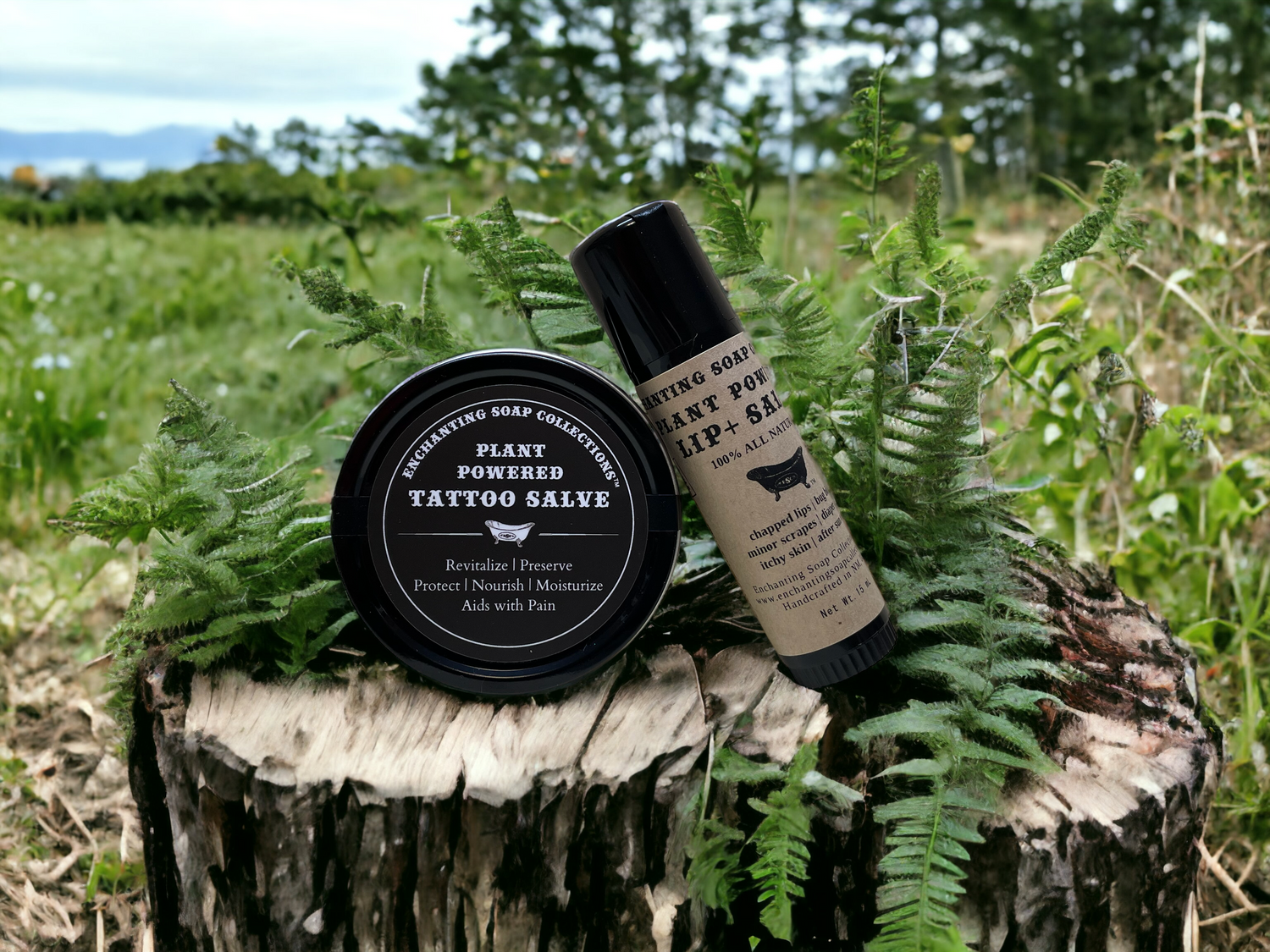 Plant Powered Collection