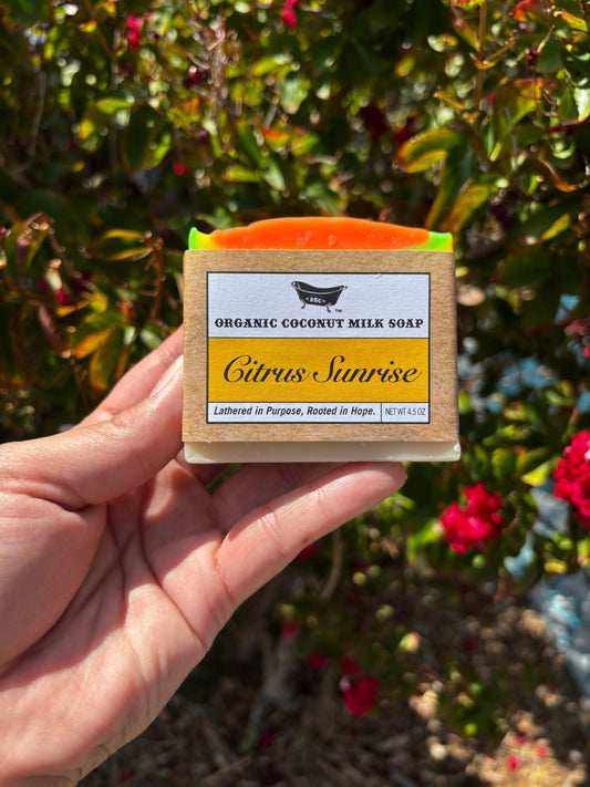 Citrus Sunrise