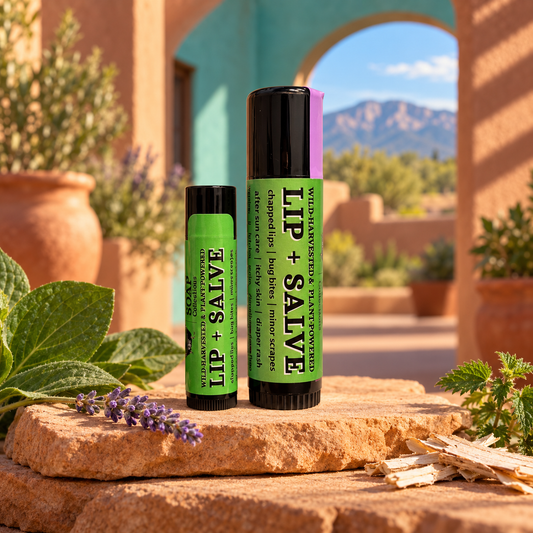 Lip + Salve, Small Tube. Big Purpose.