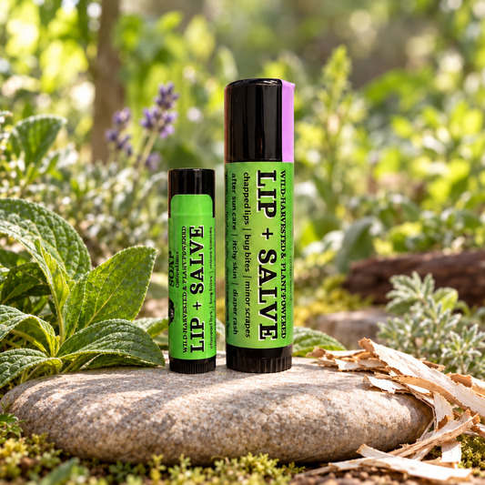 Lip + Salve, Small Tube. Big Purpose.