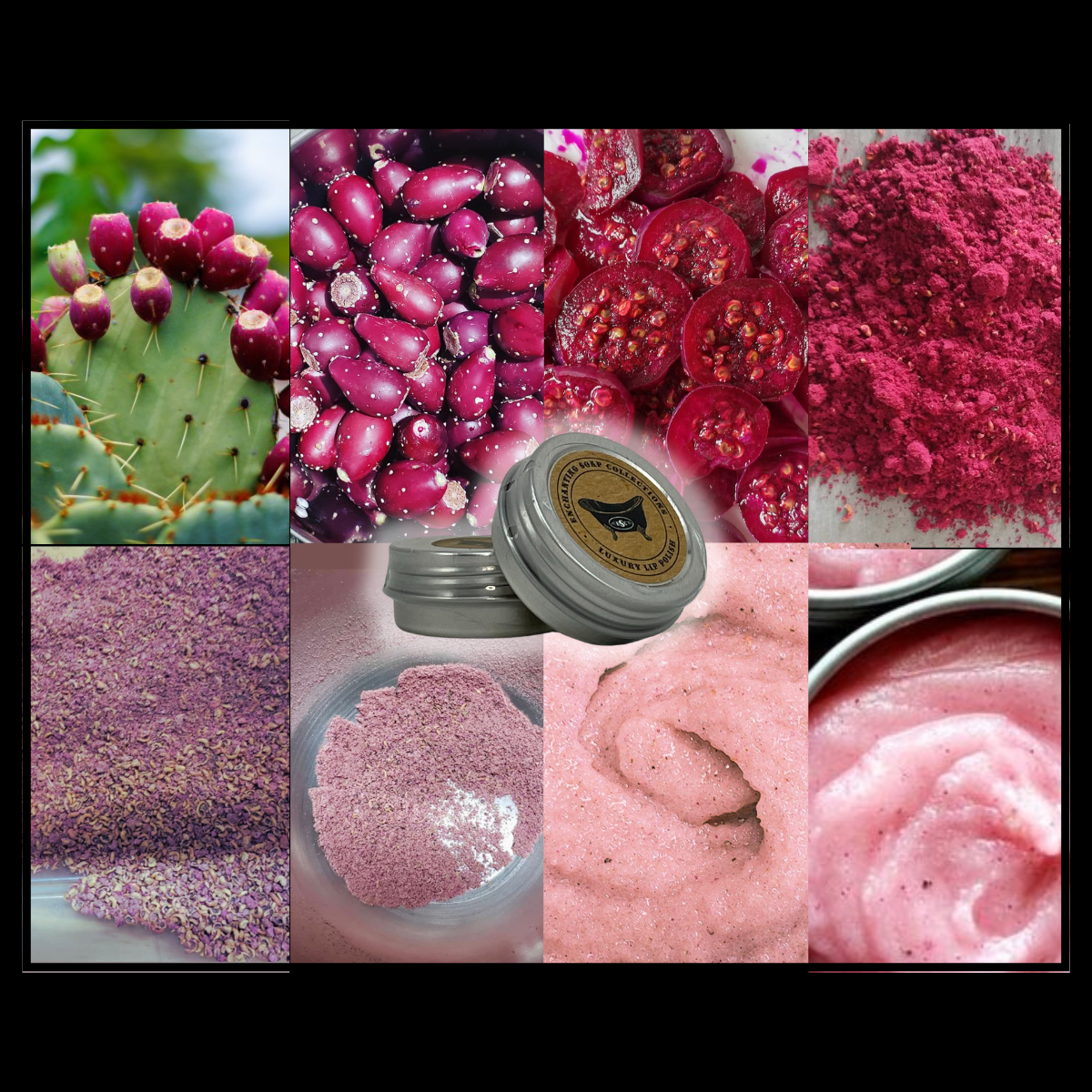 Vanilla Prickly Pear Cactus Fruit Luxury Lip Polish